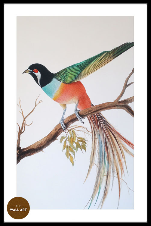 images/products/raindow_long_tail_bird/RAINDOW_LONG TAIL BIRD_BLACK_PWB.jpg
